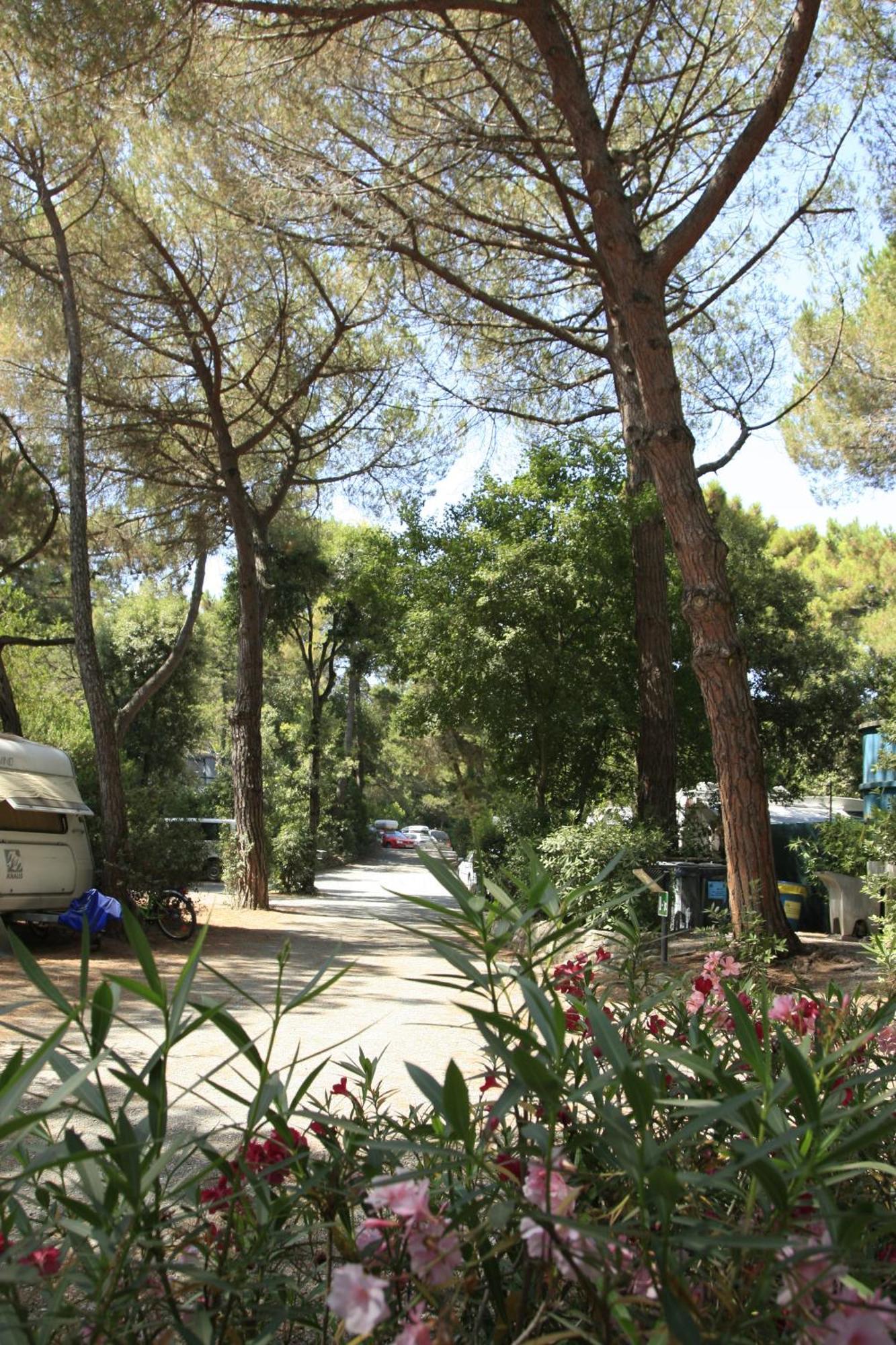 Vakantiepark Camping Casa Di Caccia 2*