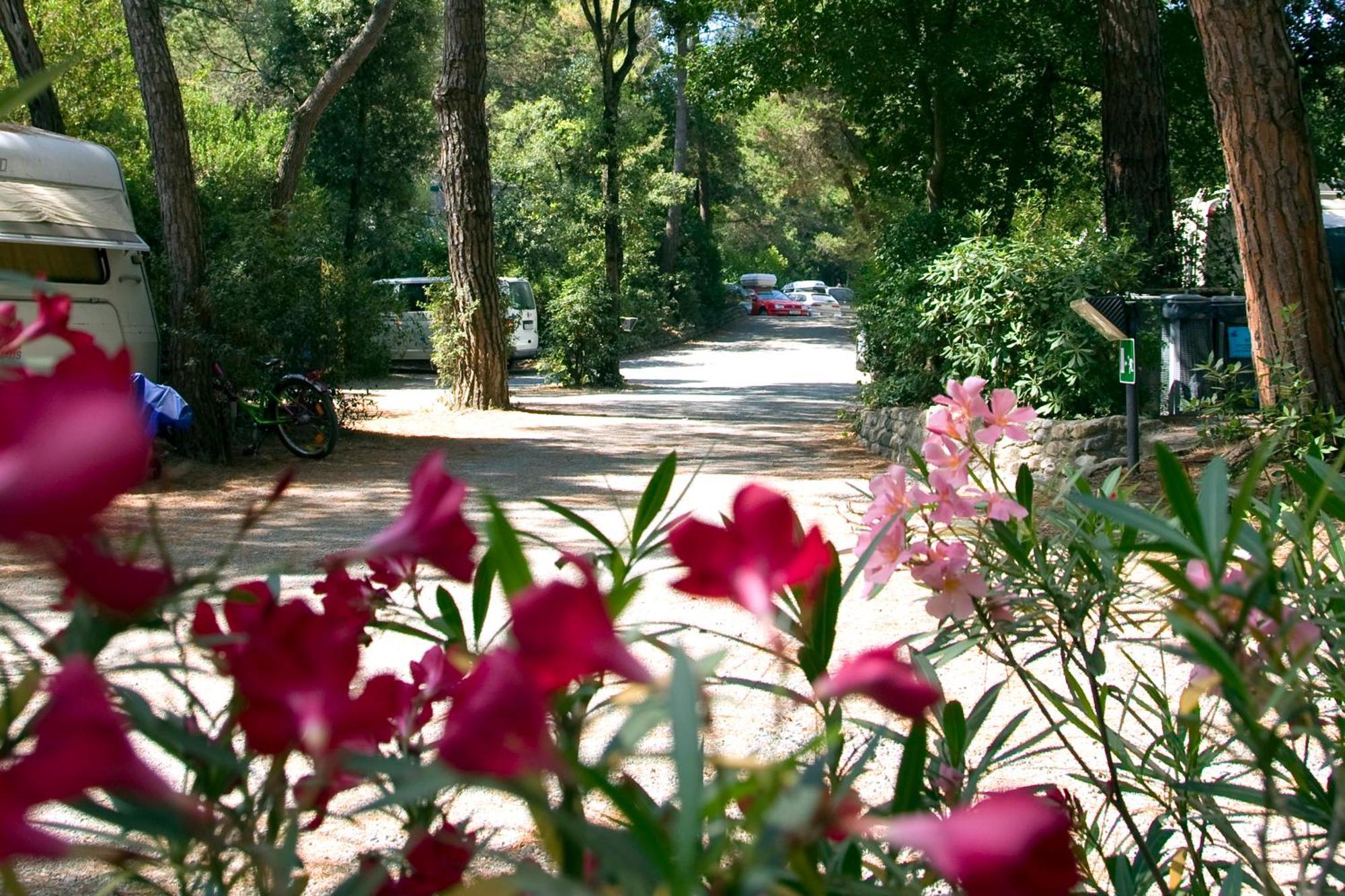 Camping Casa Di Caccia