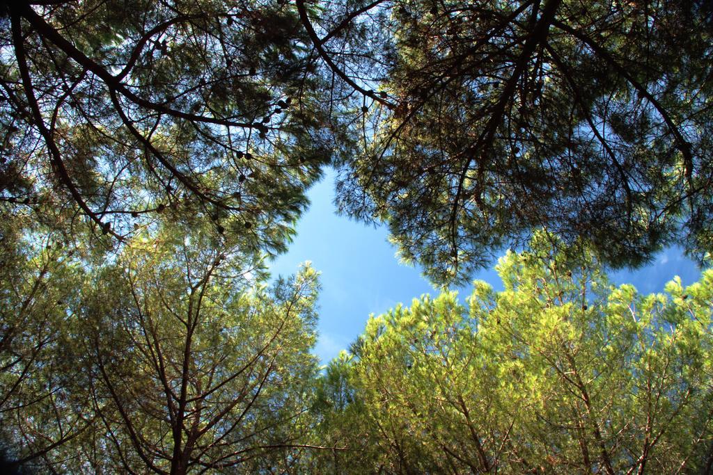 Camping Casa Di Caccia Holiday park
