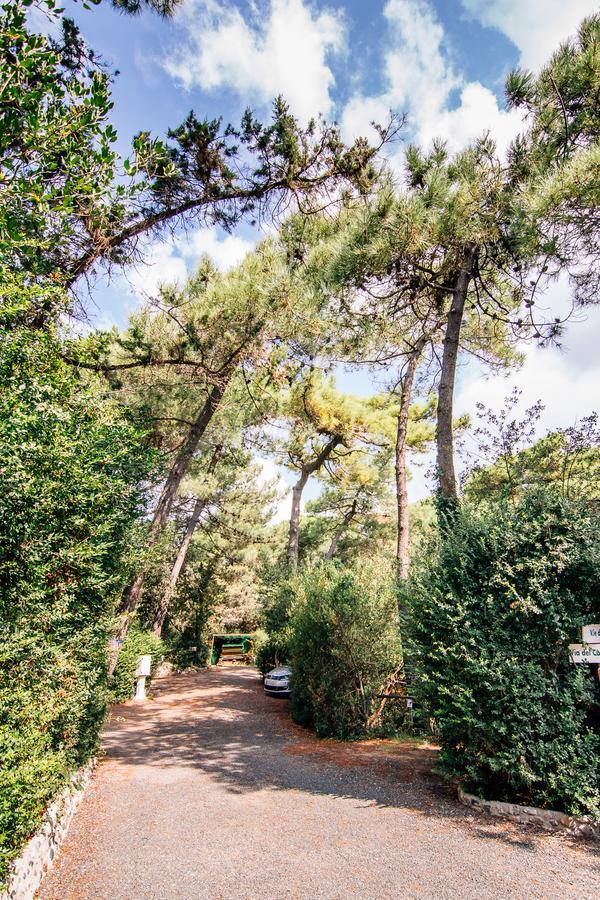 Camping Casa Di Caccia 2* Marina Di Bibbona